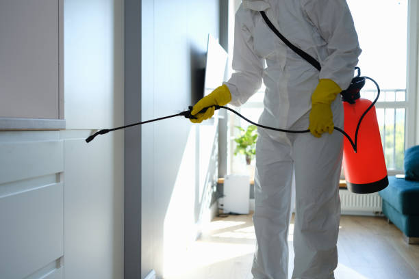 Best Office Mold Removal Services  in Dilkon, AZ